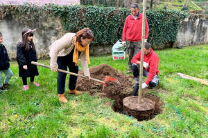 Consorzio di bonifica, missione compiuta: in quattro anni piantati oltre 4 mila alberi