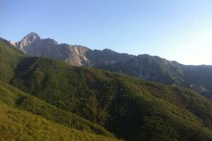 Biodiversità, in arrivo 20 milioni per tutelare aree umide, boschi e praterie