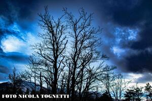 Pioggia e vento in arrivo, scatta allerta arancione