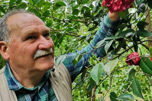 Prestigioso riconoscimento per il &#039;Bosco di camelie tra le magnolie di Vito e Gemma&#039; a Piegaio Alto