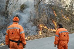 Lotta agli incendi: accordo da 1,8 milioni con volontari, forestali e vigili del fuoco