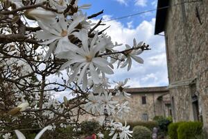 Castelnuovo, quando lo sguardo cambia