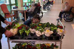 La Lega Spi di Lucca e Pescaglia porta i fiori nelle rsa