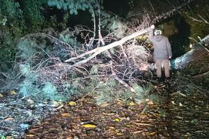 Maltempo, alberi caduti e black-out per il forte vento: attivo il C.O.I. dell’Unione Comuni Garfagnana