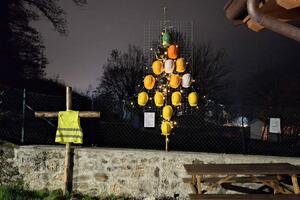 Realizzato a Torrite l’Albero della Sicurezza: un simbolo di prevenzione e memoria