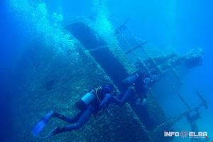 Itinerari subacquei all&#039;Isola d&#039;Elba: dove e quando fare immersioni indimenticabili