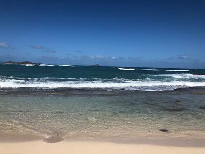 Lo champagne della famiglia Signorini dalla Francia ai Caraibi nella splendida isola di Barth