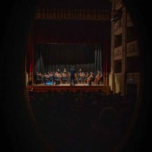 Orchestra cupiditas