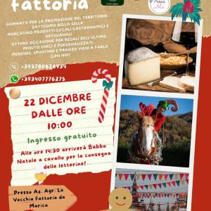 NATALE IN FATTORIA