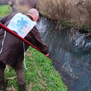 Donatori Teseo Tesei Massaciuccoli